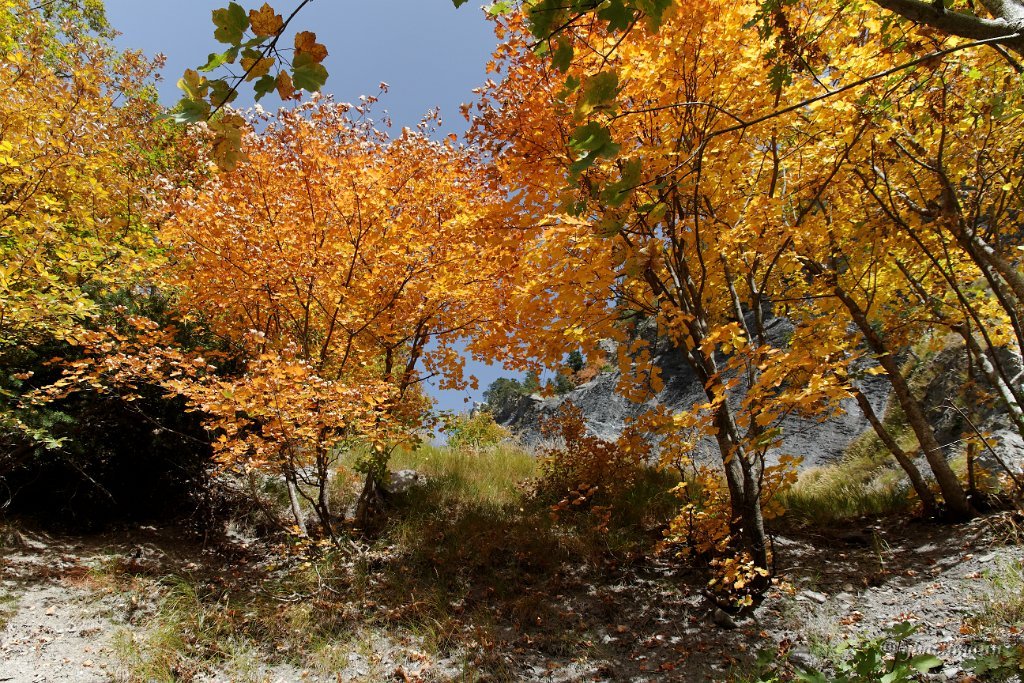 20101009_192